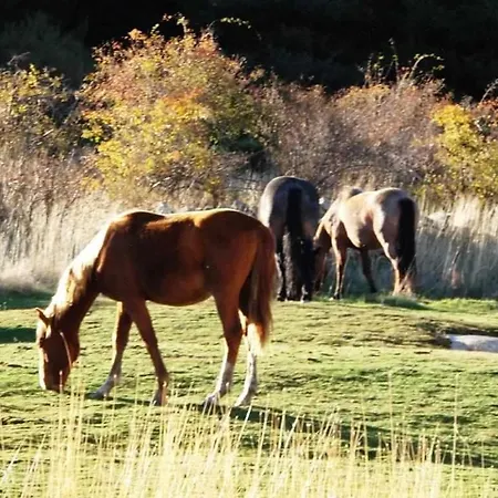 Ferienhaus Casa Iona Adosado Con Vistas A La Montana