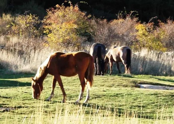 펜션 Casa Iona Adosado Con Vistas A La Montana